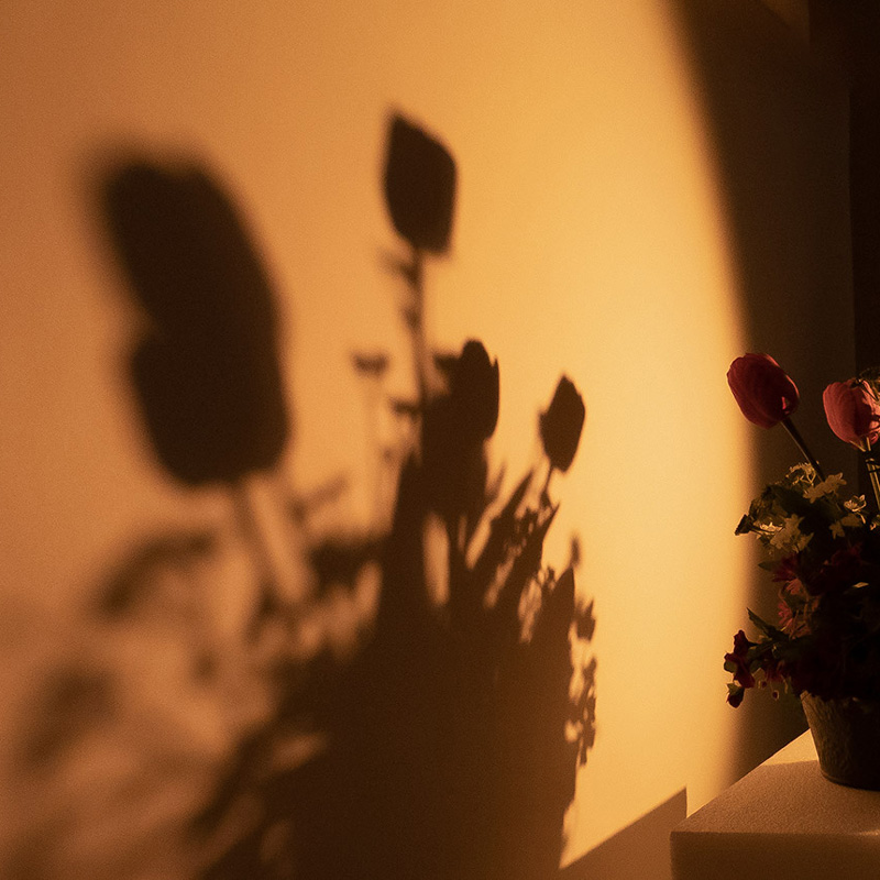 Fiilex2